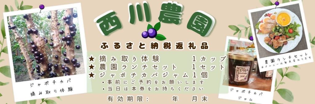 画像に alt 属性が指定されていません。ファイル名: ふるさと納税チケット-1024x341.jpg